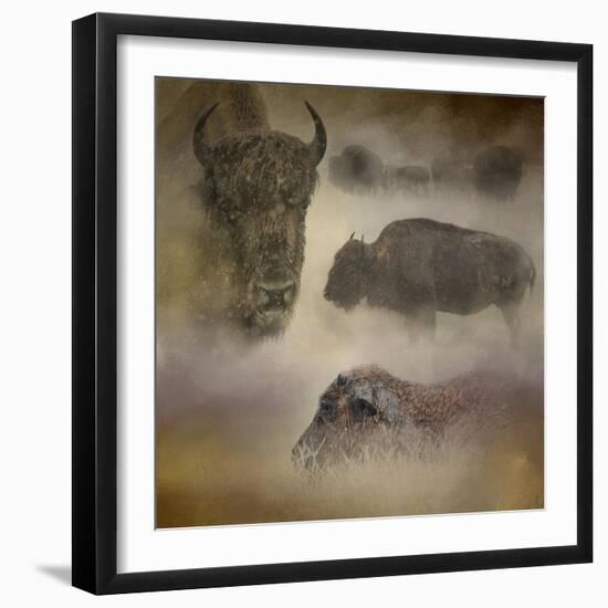 Buffalo Dreams-Jai Johnson-Framed Giclee Print