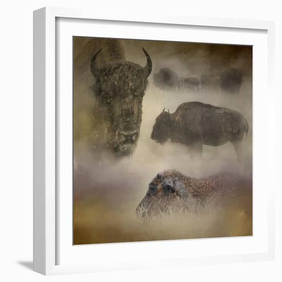 Buffalo Dreams-Jai Johnson-Framed Giclee Print