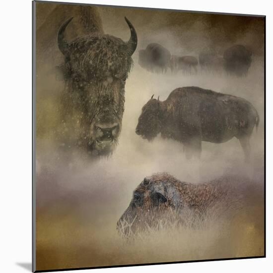 Buffalo Dreams-Jai Johnson-Mounted Giclee Print