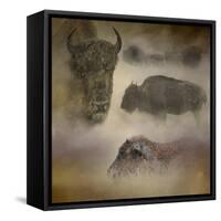 Buffalo Dreams-Jai Johnson-Framed Stretched Canvas