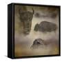 Buffalo Dreams-Jai Johnson-Framed Stretched Canvas