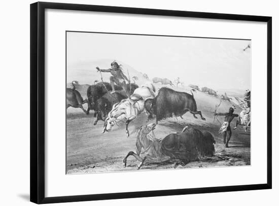 Buffalo Fighting with Indians-null-Framed Giclee Print