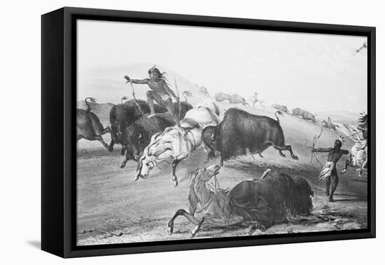 Buffalo Fighting with Indians-null-Framed Stretched Canvas