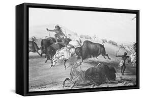 Buffalo Fighting with Indians-null-Framed Stretched Canvas