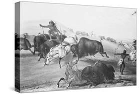 Buffalo Fighting with Indians-null-Stretched Canvas