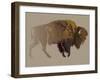 Buffalo. Hand-Drawn Illustration, Detailed Variant.-imagewriter-Framed Art Print