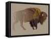 Buffalo. Hand-Drawn Illustration, Detailed Variant.-imagewriter-Framed Stretched Canvas