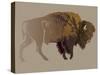 Buffalo. Hand-Drawn Illustration, Detailed Variant.-imagewriter-Stretched Canvas