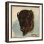 Buffalo Head - Citrus Crate Label-Lantern Press-Framed Art Print