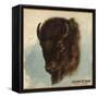 Buffalo Head - Citrus Crate Label-Lantern Press-Framed Stretched Canvas