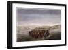 Buffalo Herd, 1862-William Jacob Hays-Framed Giclee Print