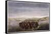 Buffalo Herd, 1862-William Jacob Hays-Framed Stretched Canvas