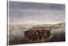 Buffalo Herd, 1862-William Jacob Hays-Stretched Canvas