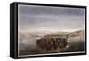 Buffalo Herd, 1862-William Jacob Hays-Framed Stretched Canvas