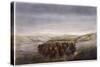 Buffalo Herd, 1862-William Jacob Hays-Stretched Canvas
