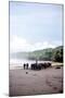Buffalo Herders on the Beach in Sumba, Indonesia, Southeast Asia, Asia-James Morgan-Mounted Photographic Print