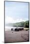 Buffalo Herders on the Beach in Sumba, Indonesia, Southeast Asia, Asia-James Morgan-Mounted Photographic Print