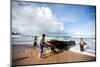 Buffalo Herders on the Beach in Sumba, Indonesia, Southeast Asia, Asia-James Morgan-Mounted Photographic Print