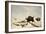 Buffalo Hunt, C.1822-1824-Peter Rindisbacher-Framed Giclee Print