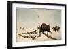 Buffalo Hunt, C.1822-1824-Peter Rindisbacher-Framed Giclee Print