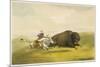 Buffalo Hunt Chase-George Catlin-Mounted Giclee Print