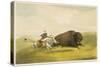 Buffalo Hunt Chase-George Catlin-Stretched Canvas