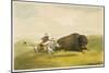 Buffalo Hunt Chase-George Catlin-Mounted Giclee Print