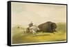Buffalo Hunt Chase-George Catlin-Framed Stretched Canvas