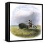 Buffalo Hunt, Engraved by Tilman and Sons, 1853-Seth Eastman-Framed Stretched Canvas