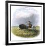 Buffalo Hunt, Engraved by Tilman and Sons, 1853-Seth Eastman-Framed Giclee Print