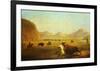 Buffalo Hunt-Alfred J. Miller-Framed Art Print