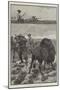 Buffalo Hunters in Montana, North America-Richard Caton Woodville II-Mounted Giclee Print