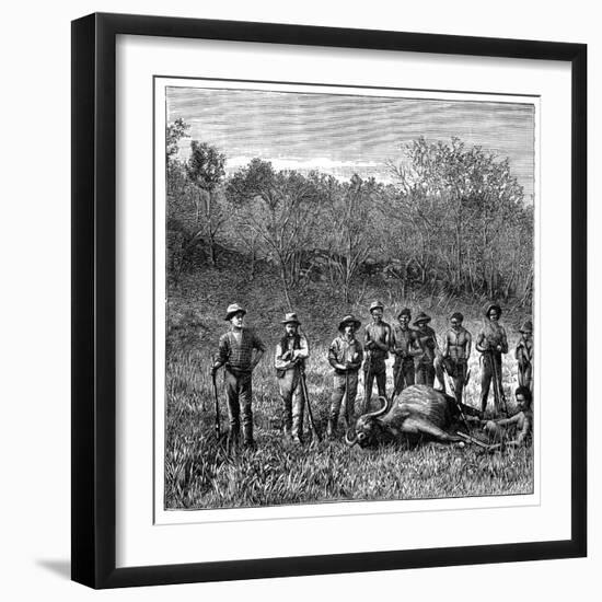 Buffalo Hunters in the Transvaal, South Africa, C1890-null-Framed Giclee Print