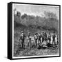 Buffalo Hunters in the Transvaal, South Africa, C1890-null-Framed Stretched Canvas