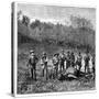 Buffalo Hunters in the Transvaal, South Africa, C1890-null-Stretched Canvas