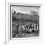 Buffalo Hunters in the Transvaal, South Africa, C1890-null-Framed Giclee Print