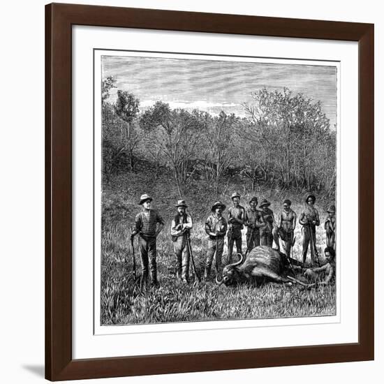 Buffalo Hunters in the Transvaal, South Africa, C1890-null-Framed Giclee Print