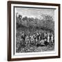 Buffalo Hunters in the Transvaal, South Africa, C1890-null-Framed Giclee Print