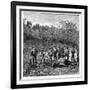 Buffalo Hunters in the Transvaal, South Africa, C1890-null-Framed Giclee Print