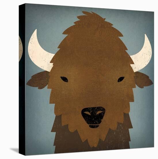 Buffalo II-Ryan Fowler-Stretched Canvas