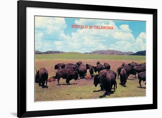 Buffalo in Oklahoma-null-Framed Art Print