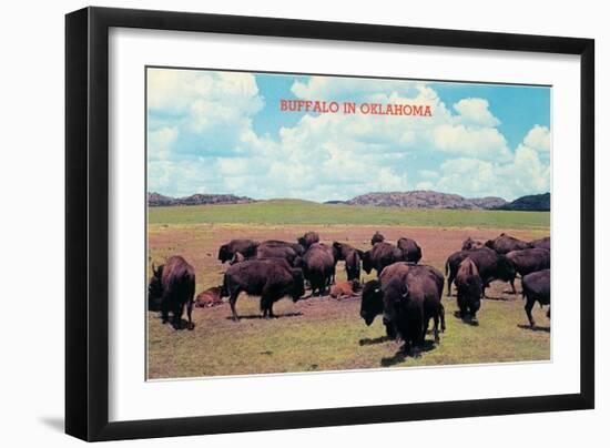 Buffalo in Oklahoma-null-Framed Art Print