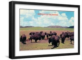 Buffalo in Oklahoma-null-Framed Art Print