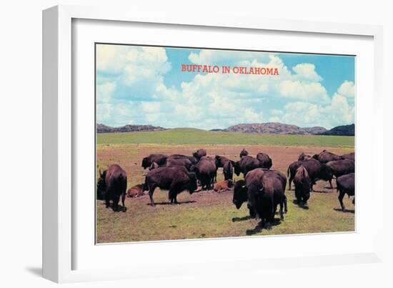 Buffalo in Oklahoma-null-Framed Art Print