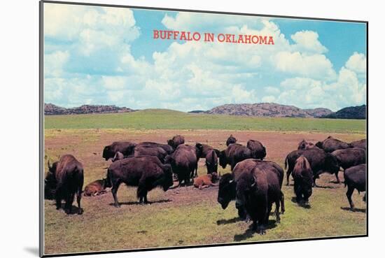 Buffalo in Oklahoma-null-Mounted Art Print