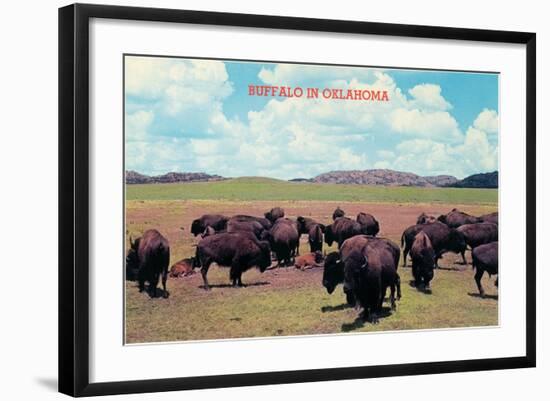 Buffalo in Oklahoma-null-Framed Art Print