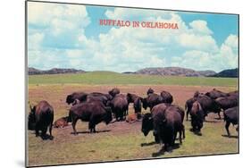 Buffalo in Oklahoma-null-Mounted Art Print