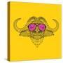 Buffalo in Pink Glasses-Lisa Kroll-Stretched Canvas