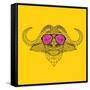 Buffalo in Pink Glasses-Lisa Kroll-Framed Stretched Canvas