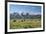 Buffalo in the Tetons-jclark-Framed Photographic Print